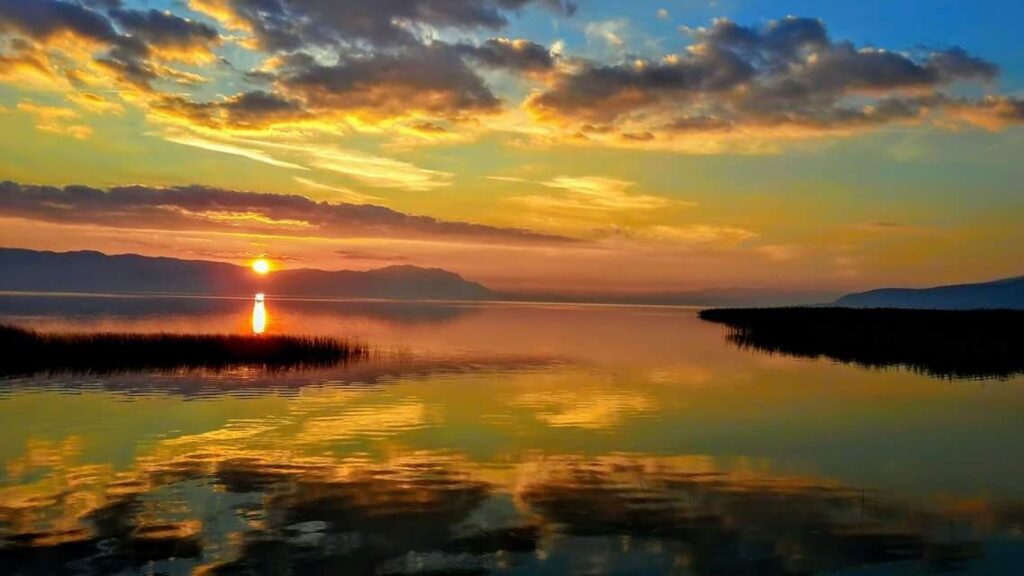 WhatsApp Image 2025-09-17 at 19.10.26